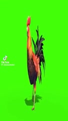 Cat box won't load this video idk why