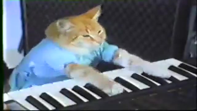 Keyboard Cat!